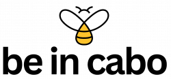 thumbnail_Transparent-02